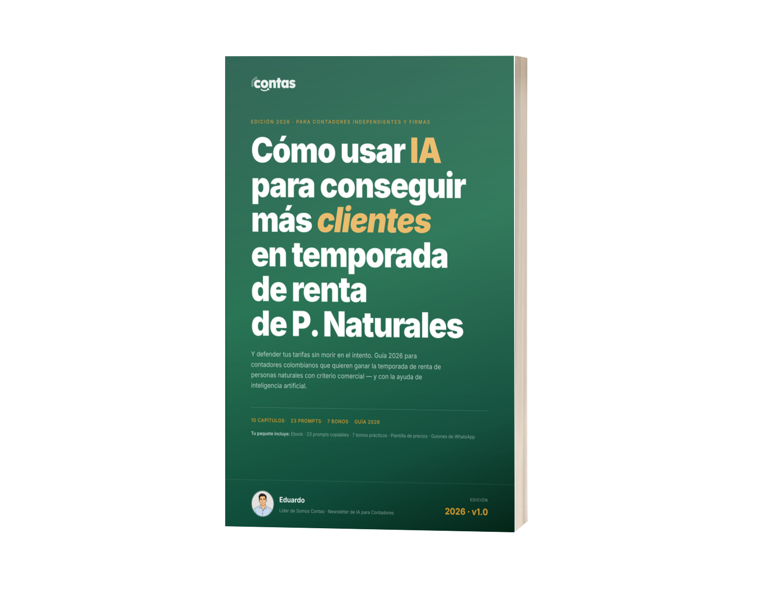 IA para Temporada de Renta PN